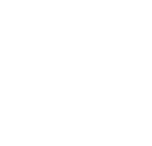 vologo-stіykiy_n